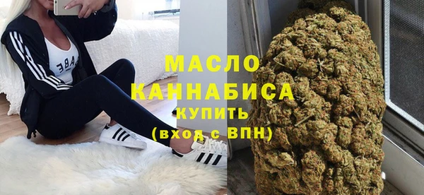 тгк Абаза