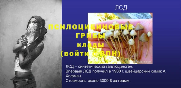 тгк Абаза