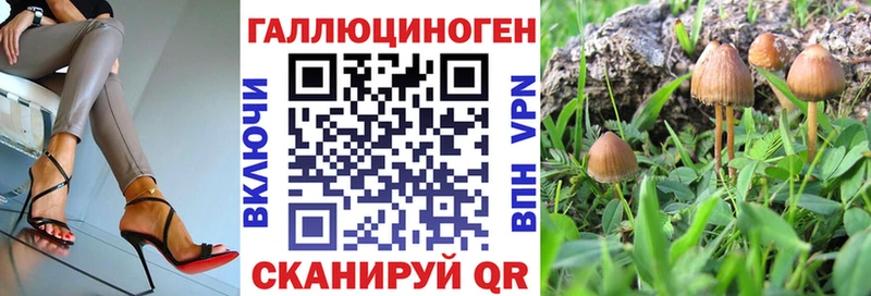 Псилоцибиновые грибы прущие грибы  купить наркотики цена  Энем 